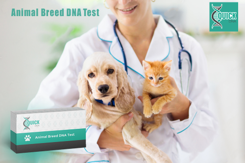 Aké kritériá by sa mali zohľadniť pri výbere testu DNA v genetike zvierat?
